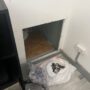 Incautació ASS. CANNÀBIQUES BCN / MOSSOS
