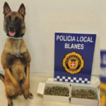 La canina de la Policia Local de Blanes / AJUNTAMENT DE BLANES