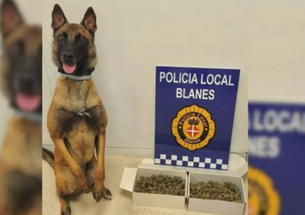 La canina de la Policia Local de Blanes / AJUNTAMENT DE BLANES
